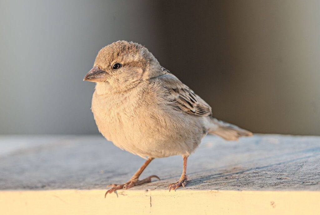 フリーランスが使える請求書メールの例文とは？