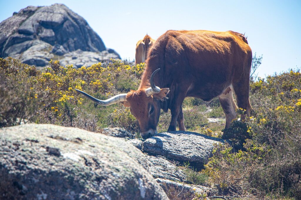 フリーランスエンジニアとして未経験からスタートするためのステップは？