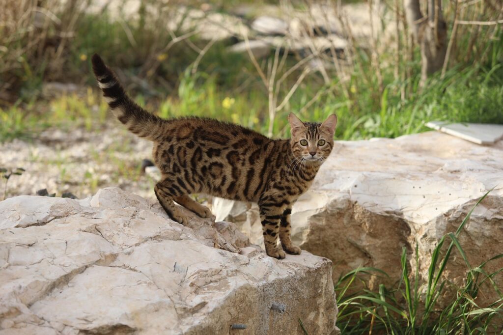 失敗から学ぶ成功するための秘訣は？