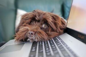 理想のライフスタイルを実現するための在宅ワークとは？